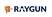 Raygun: Crash Master & Real-Time Insights