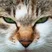 MCP Server MySQL: Optimize Performance, Secure Data