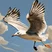 MCP Prompt Server: Task-Specific Prompts, Instant Efficiency