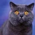 MCP Server GDB: Remote GDB & Seamless Precision Debugging MCP Server GDB: Remote GDB & Seamless Precision Debugging